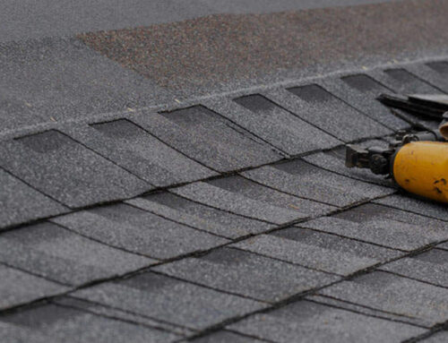 How Seasonal Weather Affects Roof Longevity (and How Roof Repair Services Can Help)